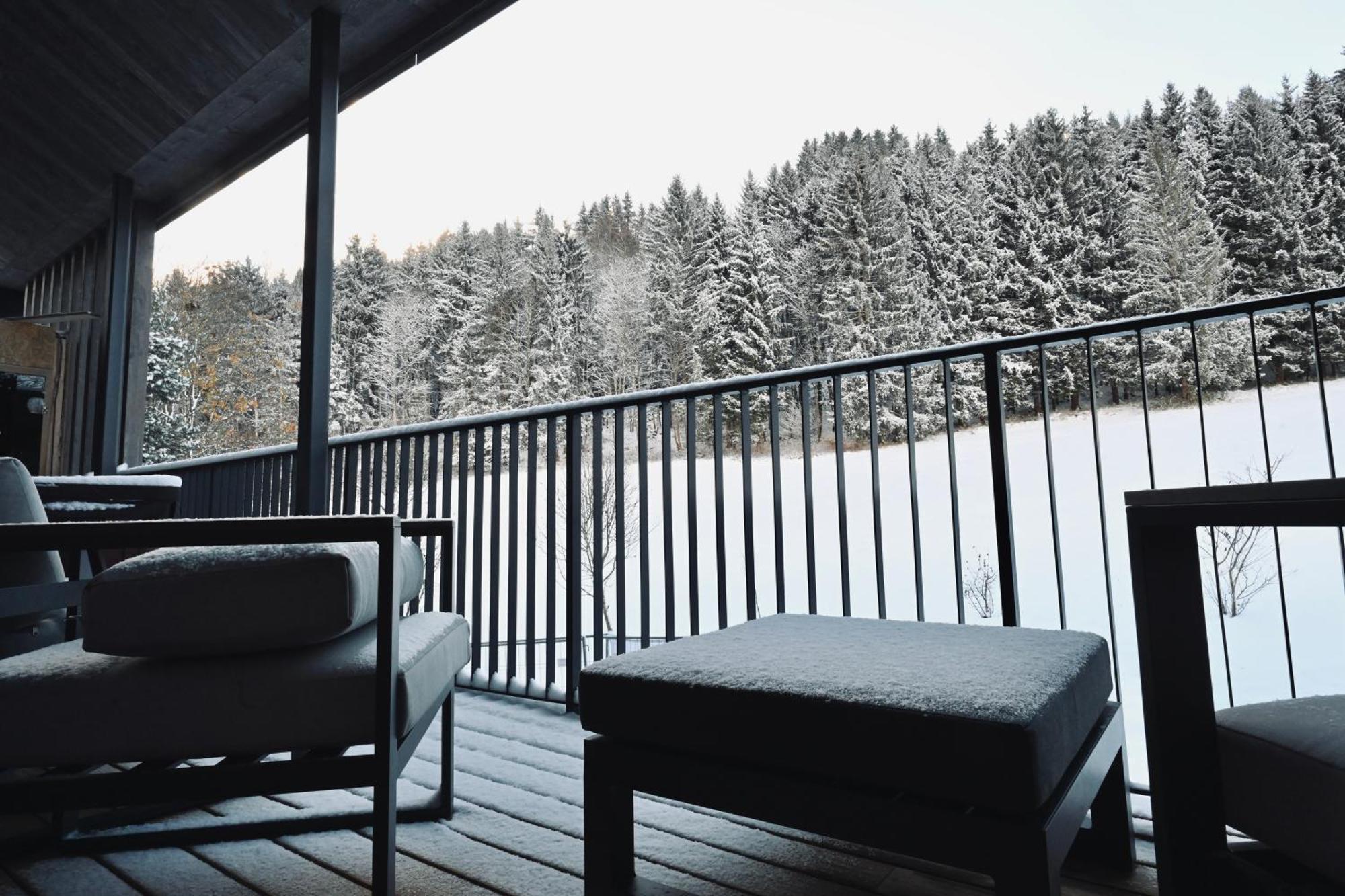 Aloha Suites - Alpin Lodge Haus Haus im Ennstal Dış mekan fotoğraf