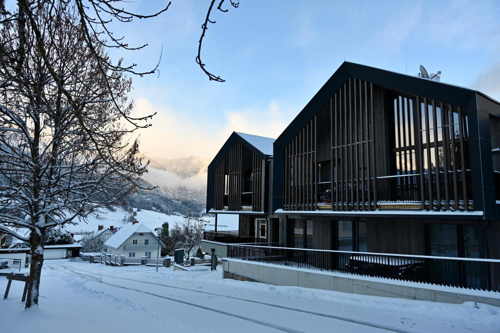 Aloha Suites - Alpin Lodge Haus Haus im Ennstal Dış mekan fotoğraf